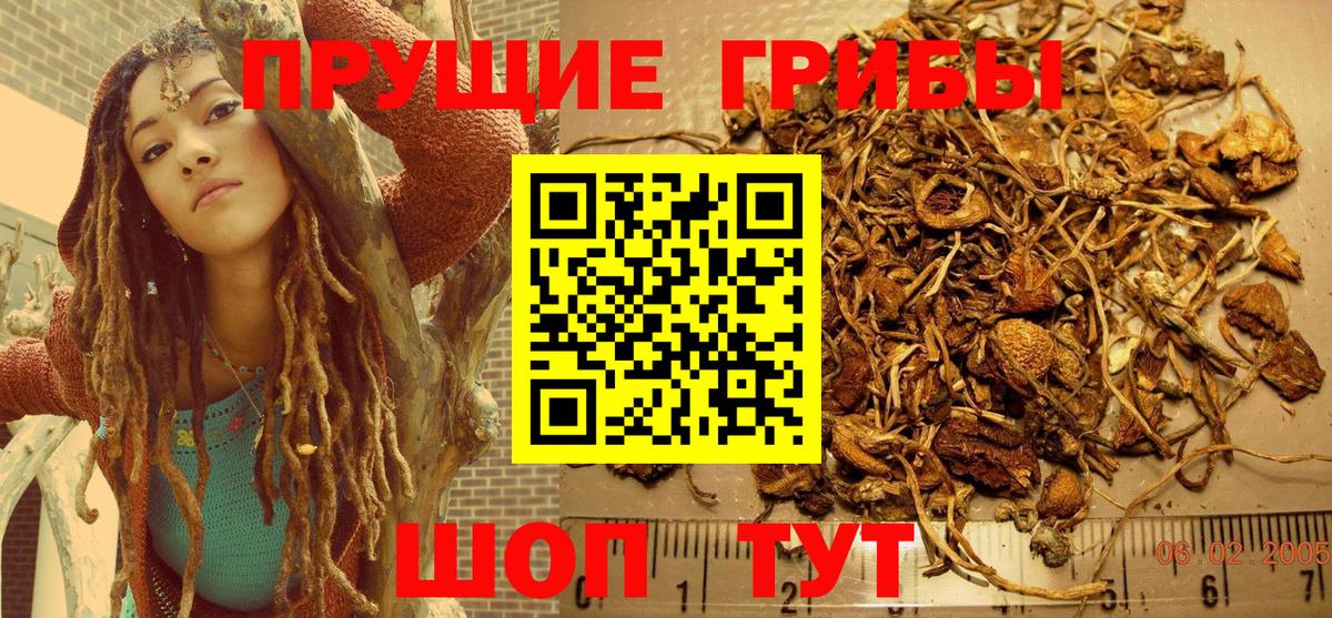 Псилоцибиновые грибы GOLDEN TEACHER  Вход с VPN  Апатиты 